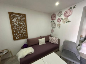 Apartmani Senzor